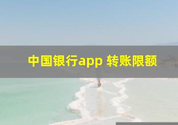 中国银行app 转账限额